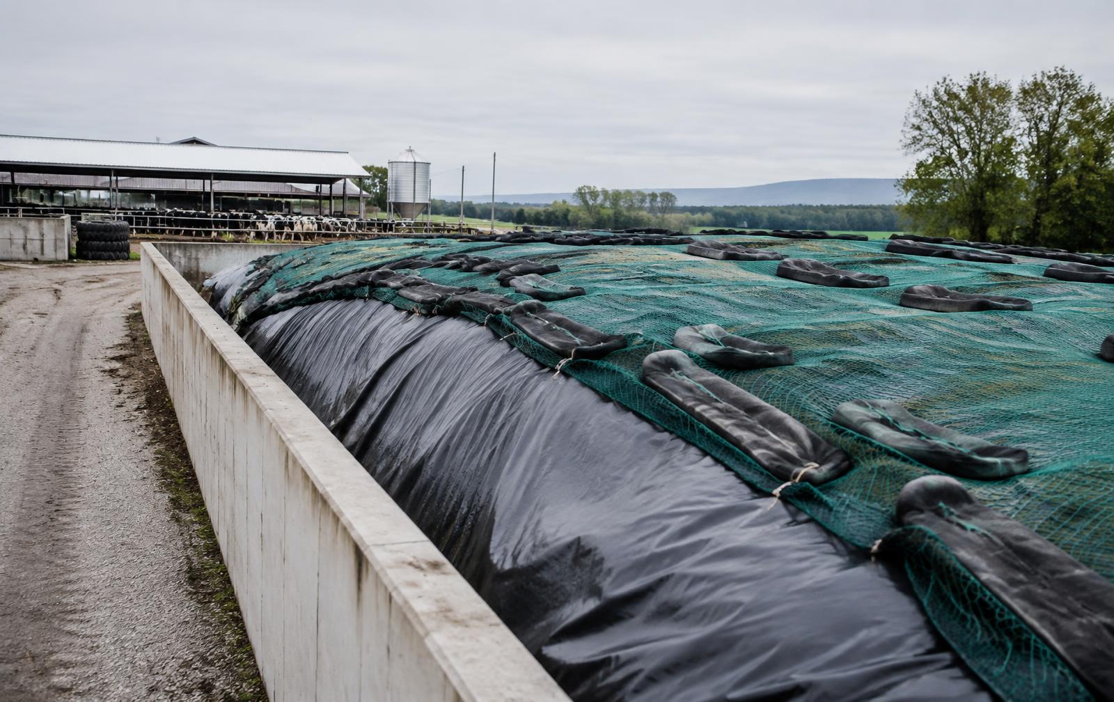 Explotación ganadera con silo protegido
